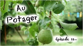 Au potager épisode 11 [upl. by Loring439]