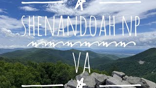 Shenandoah National Park VA 🍃 [upl. by Nerot]