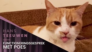 Hans Teeuwen  Functioneringsgesprek met Poes [upl. by Tnecnev]