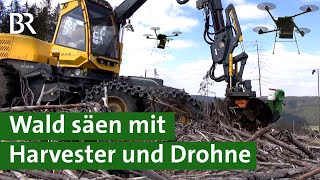 Im Wald Bäume säen Harvester und Drohne im Einsatz  Agrartechnik  Forstmaschine  Unser Land  BR [upl. by Jeffy]