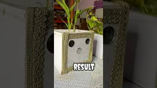 Decorative planters planters trending diy vlog dhruvvlog decroation transformation 1million [upl. by Ennagroeg970]