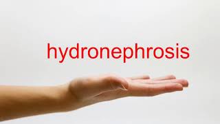 How to Pronounce hydronephrosis  American English [upl. by Nnaeus]