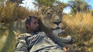 GoPro Lions  The New Endangered Species [upl. by Kenyon]