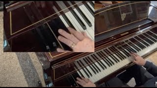 97 key Bösendorfer Imperial Concert tuning  what do the extra bass notes sound like  jump link [upl. by Ynafit603]