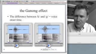 Understanding words and sentences [upl. by Irat]