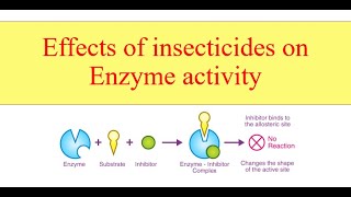 Effects of insecticides on Enzyme activity [upl. by Arnold]