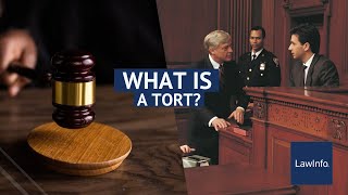 What Is a Tort  LawInfo [upl. by Ennazzus]