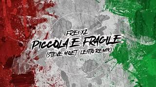 Frei X2  Piccola e Fragile Steve Moet Lento Remix [upl. by Orose]