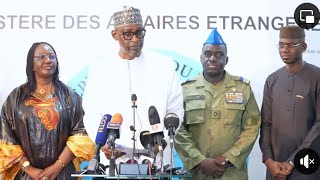 Infos de lAES  Le Patriote Africain Parle du Niger du Mali et du Burkina Faso [upl. by Poock]