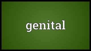 Genital Meaning [upl. by Blackington]