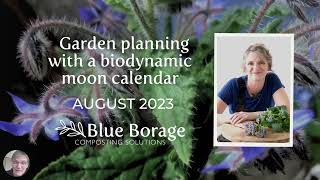 Planning your gardening tasks with a biodynamic moon calendar August 2023 with Blue Borage [upl. by Arutek574]