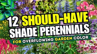 🌲🌈 TRANSFORM YOUR SHADE 12 Best Shade Perennials for Overflowing Garden Color 🌸 [upl. by Geilich]