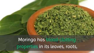 10 Benefits of Drinking Moringa Tea Everyday [upl. by Cochrane806]