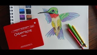 Caran DAche Neocolor II Aquarelle Crayons Swatch and Review with Sketch [upl. by Wrdna]