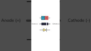 Understanding Diodes How They Work and Their Uses [upl. by Ytoc383]