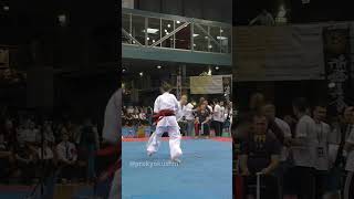 International Kyokushin tournament “Carpathia Cup” [upl. by Nitsyrk712]