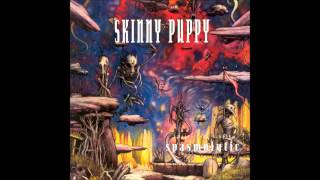 Skinny Puppy  Harsh Stone White Live In Denver [upl. by Annoyik962]