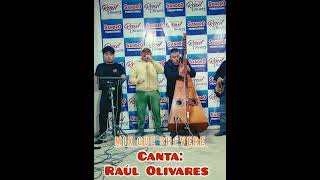 Raúl Olivares mix que chévere [upl. by Eliak]