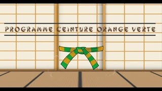 Ceinture ORANGE VERTE Programme du Passage de Grade Judo [upl. by Hcone254]