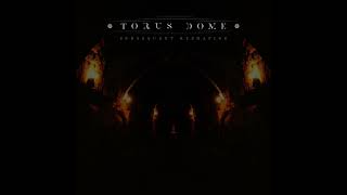 Torus Dome  Subsequent Reshaping Dark Ambient NEW ALBUM 2024 [upl. by Magda]