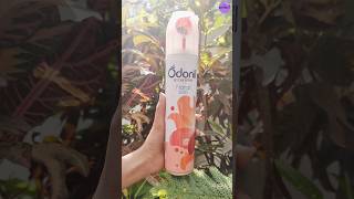 Odonil ROOM SPRAY FLORAL BLISS shorts review room roomfreshner [upl. by Sharma]