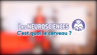 Cest quoi le cerveau   Les neurosciences  Les Bons Profs [upl. by Eiznek602]