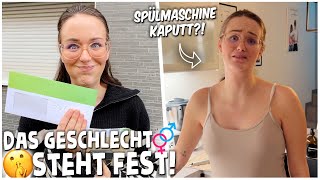 das GESCHLECHT STEHT FEST🫣🥹  SPÜLMASCHINE ZICKT wieder😢😂  kobexmone [upl. by Brit]