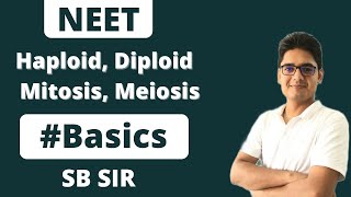 Mitosis  Meiosis  Haploid  Diploid  Basic Terms Explanation  Biogrades  SB SIR [upl. by Alaunnoif]