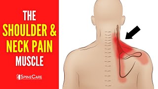 The Neck and Shoulder Pain Muscle How to Release It for INSTANT RELIEF [upl. by Goran]