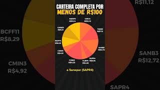 CARTEIRA DE INVESTIMENTOS COMPLETA COM MENOS DE R 100 REAIS [upl. by Giacomo]