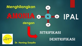 NITRIFIKASI n DENITRIFIKASI Mengolah AMONIA [upl. by Aderf]