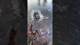 UDI Inkfish JetBoat Maiden Voyage Brushless Low Power [upl. by Vivie733]