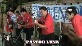 Pastor Luna  Noches con amigos Mi overo rosado Chamame eng en vivo 01 05 04 15 [upl. by Orren512]