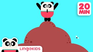 ALL ABOUT POO 💩✨ What is DIGESTION  More Lingokids Cartoons for Kids [upl. by Ahsenor]