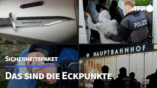 quotSicherheitspaketquot Das hat die quotAmpelquot beschlossen  AFP [upl. by Eissirc537]