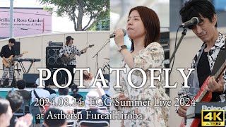 【スーパーフライカヴァー】POTATOFLY 20240824 EGG SUMMER LIVE 札幌のSuperflyカヴァーバンド [upl. by Aihseken]