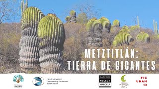 ¡Descubre el rincón de las biznagas gigantes en Tierra Blanca [upl. by Marinelli]