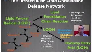 Introduction to the Antioxidant System  Masterclass With Masterjohn 13 [upl. by Krid]