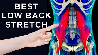 1 Best Low Back Stretch for Lower Back Pain Relief [upl. by Samella]