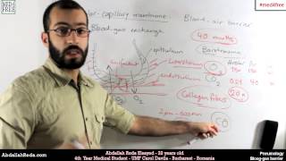 What is the blood gas barrier  عبد الله رضا MD  Rocademia روكاديميا [upl. by Ethelred]