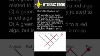 How to understand phylogenetic trees [upl. by Smaj]