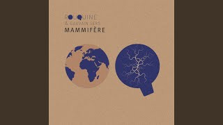 Mammifère [upl. by Dorolice]