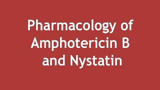 Pharmacology of Amphotericin B and Nystatin ENGLISH  Dr Shikha Parmar [upl. by Wilkie]