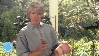 How to Paint Terracotta Pots Throwback Thursday  Martha Stewart [upl. by Beitch650]