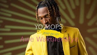 Yo Maps  Awe Wakulekafye Official Music Videoyomaps [upl. by Atikir248]