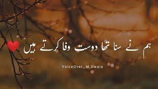 Hum Nay Suna Tha Dost Wafa Karte Hain  Sad Shero Shayari Painfull Status [upl. by Ahtreb]