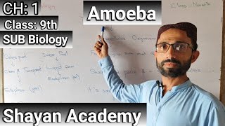 Amoeba  Biology  Unicellular  shayanacademy ayazhussain [upl. by Utas212]