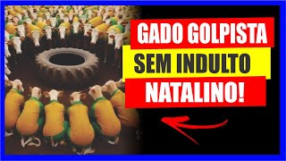 GADO G0LPISTA FICAM FORA DO INDULTO DE NATAL [upl. by Clemmie837]