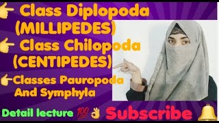 Class Diplopoda MILLIPEDES Class Chilopoda CENTIPEDES Classes Pauropoda And Symphyla [upl. by Nnayram]