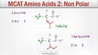 Amino acid Classification Polar nonpolar Hydrophilic Hydrophobic acidic and basic [upl. by Etteluap]